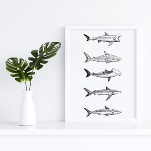 Black and White Shark Print Poster Wall Art Decor, Shark Wall Decor, Coastal Living Wall Art Decor, Coastal New England Print, Home Decor