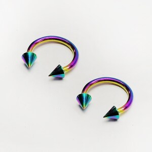 Rainbow Circular Barbell Pair, 16g Surgical Steel Horseshoe