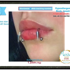 Labret spike con pallina, bilanciere circolare. Ferro di cavallo in titanio ipoallergenico. 1,2 mm (16 g). Colore argento. orecchio, elica, rook, labbra, conca, naso