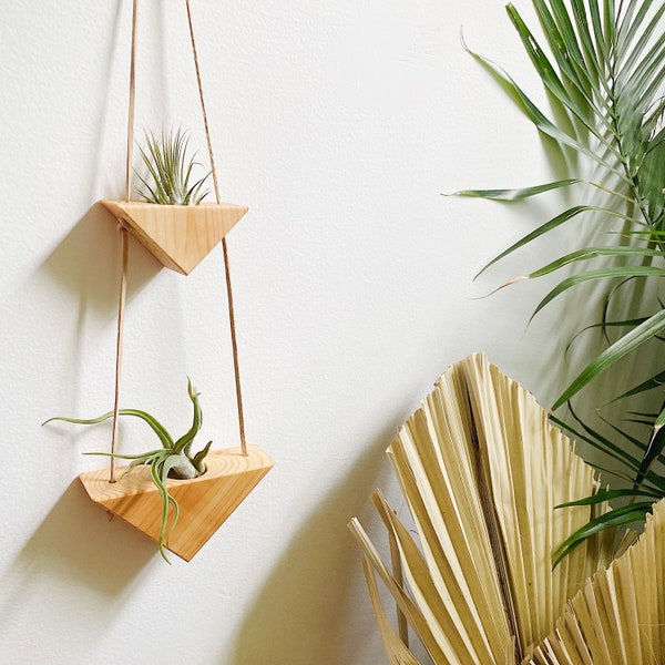 Air Plant Wall Etsy