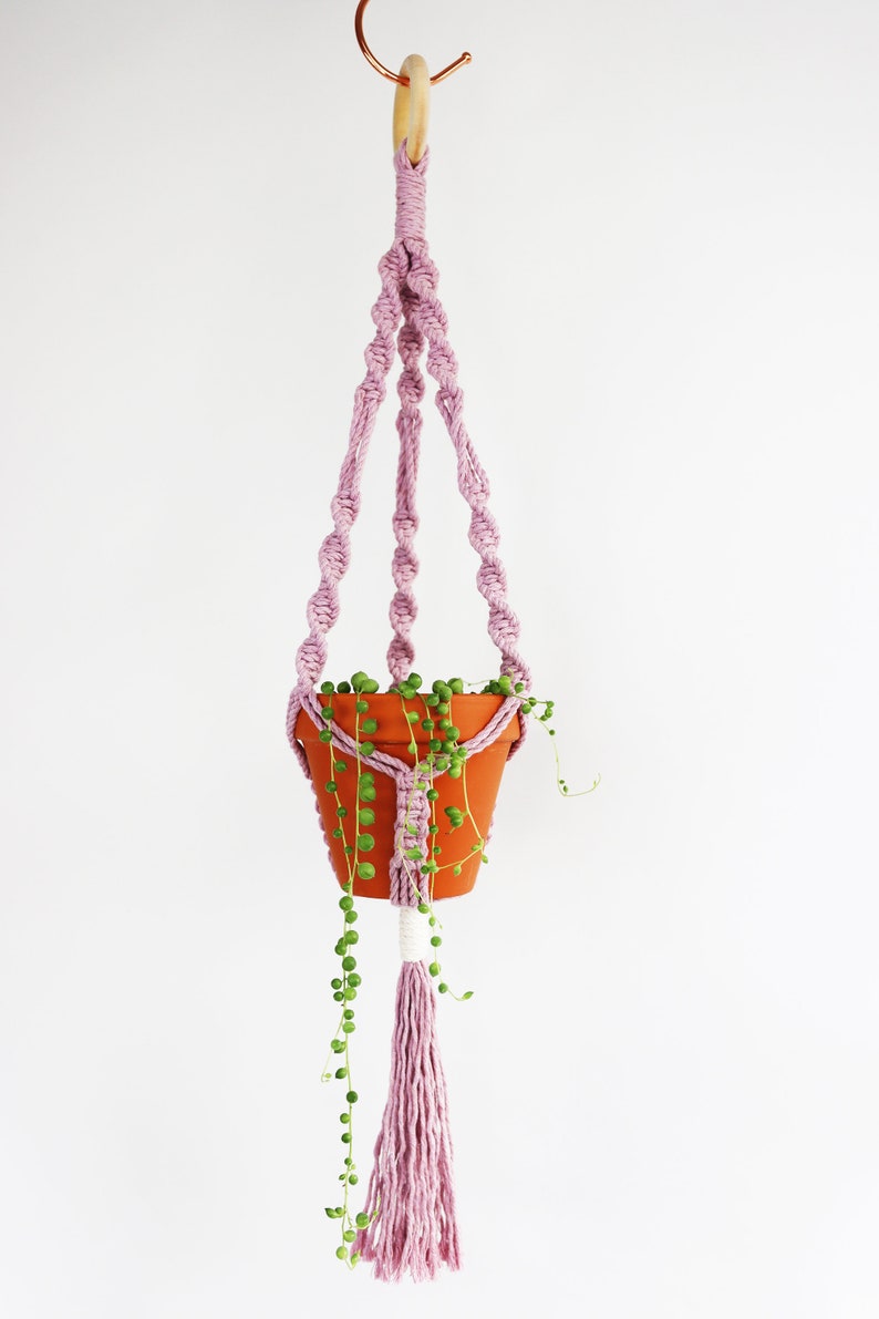 D.I.Y. Macrame Plant Hanger Kit Mini image 2