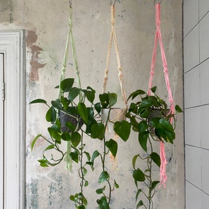 Op de afbeelding: Drie hangende planten macrame potten met groene planten erin. De potten zijn gemaakt van wit en roze garen.