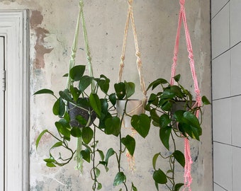 Neon Rope Plant Hangers
