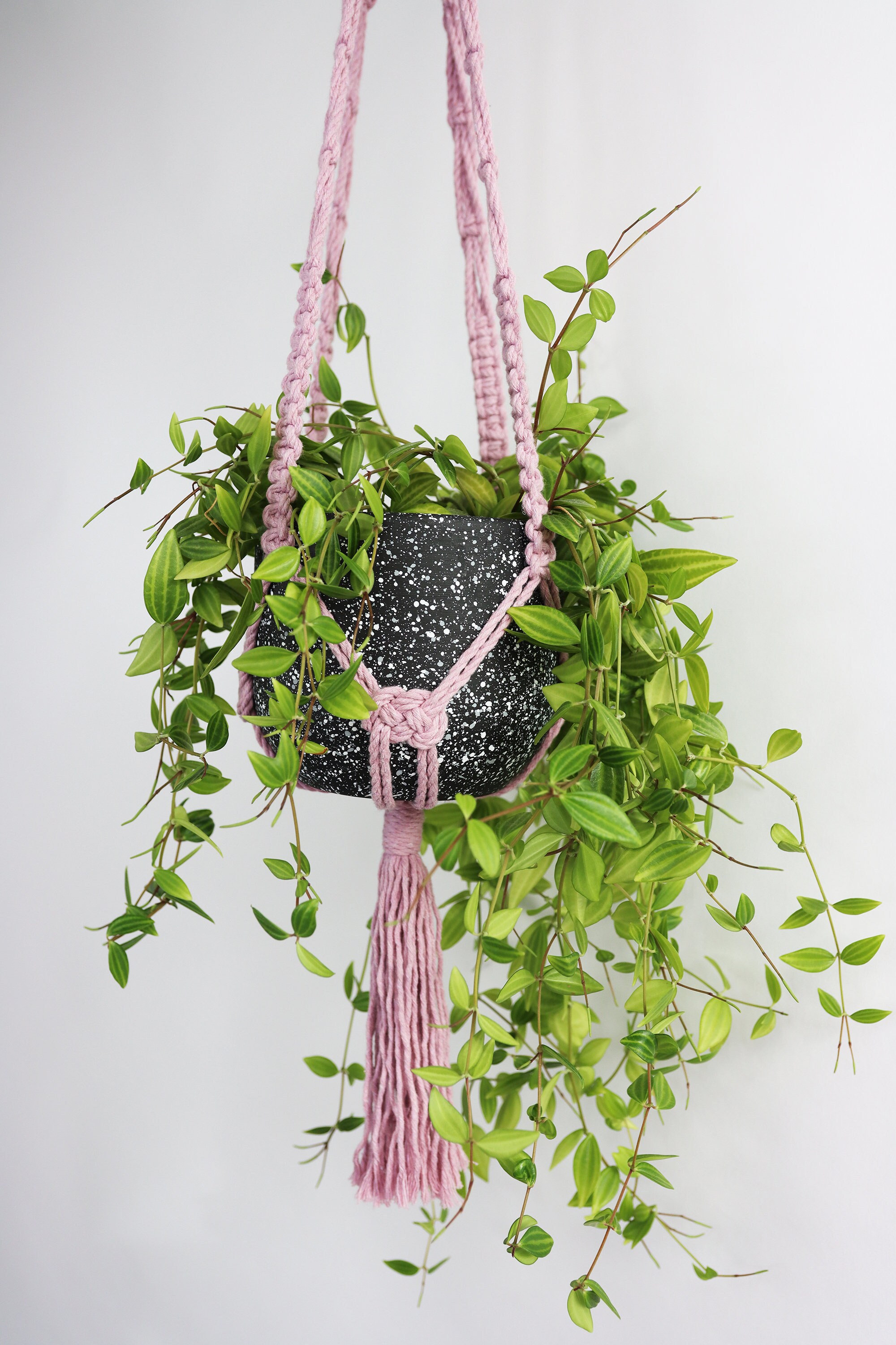 D.I.Y. Macrame Plant Hanger Kit With Video 