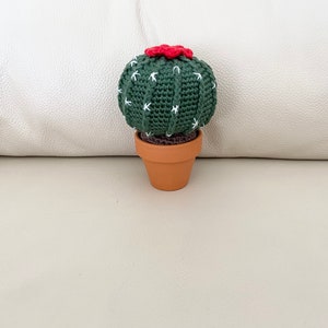 Könnte beinhalten: Ein kleiner grüner gehäkelter Kaktus mit einer roten Blüte oben, der in einem Terrakotta-Topf sitzt.