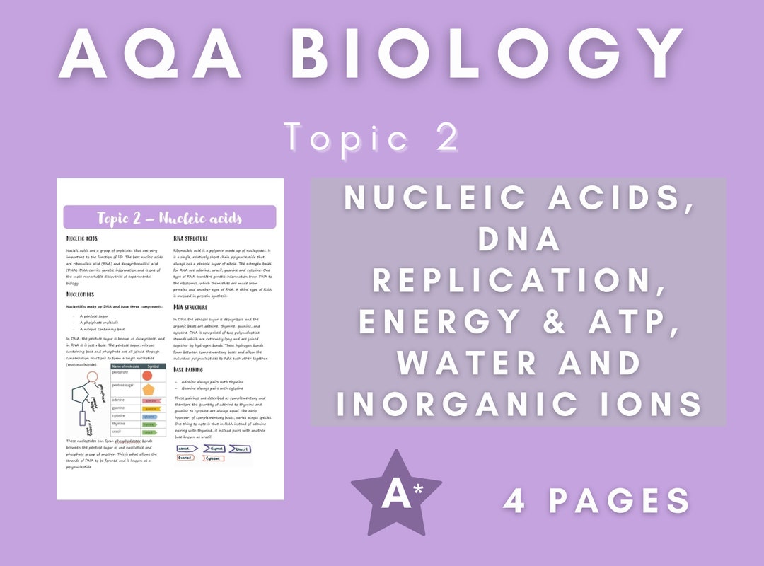Nucleic Acids and Water AQA Biology A Level Etsy