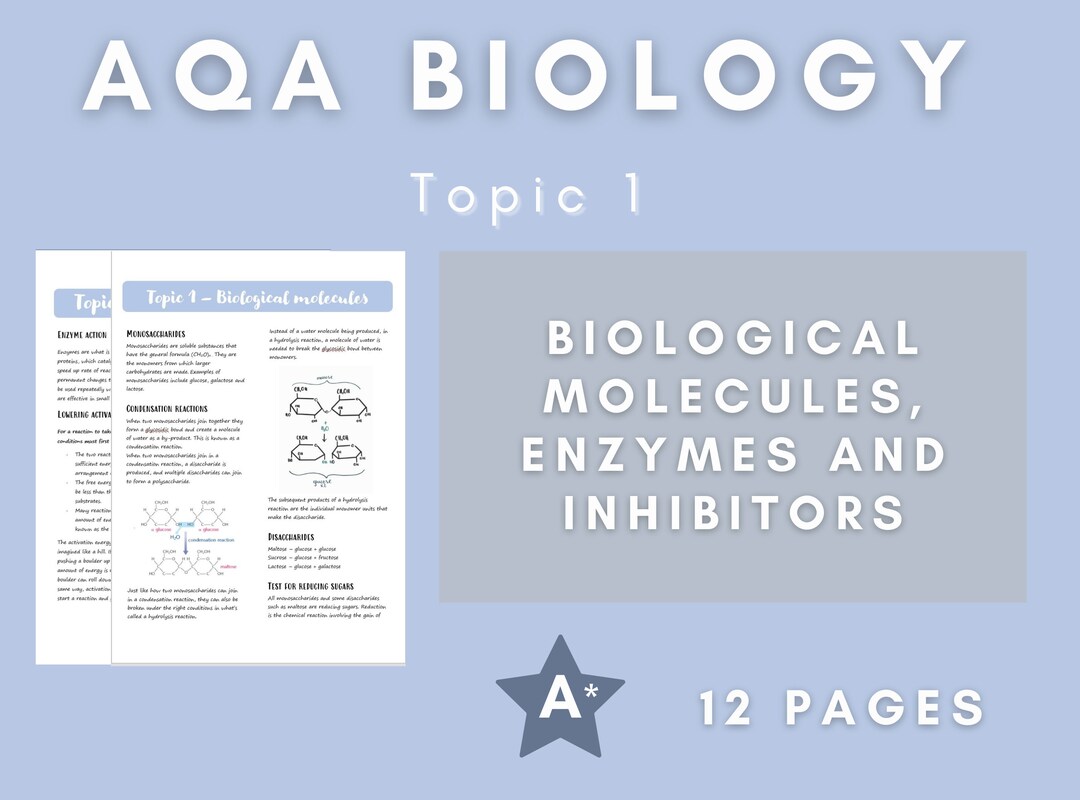 Biological Molecules and Enzymes AQA Biology A Level Etsy