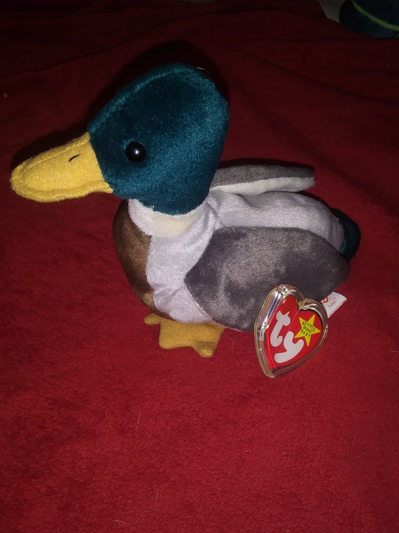 Original RARE TY Beanie Baby jake in Plastic Protective Case Etsy