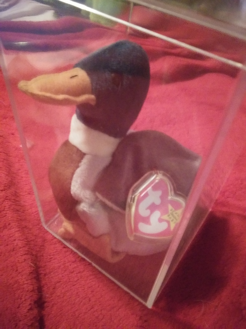 Original RARE TY Beanie Baby jake in Plastic Protective Case Etsy