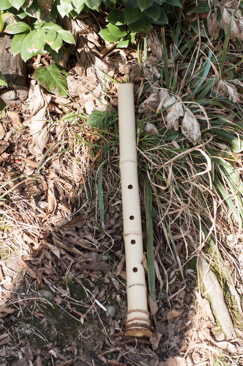 Bamboo flutes in C Shakuhachi 2.0 Shakuhachi flute Etsy