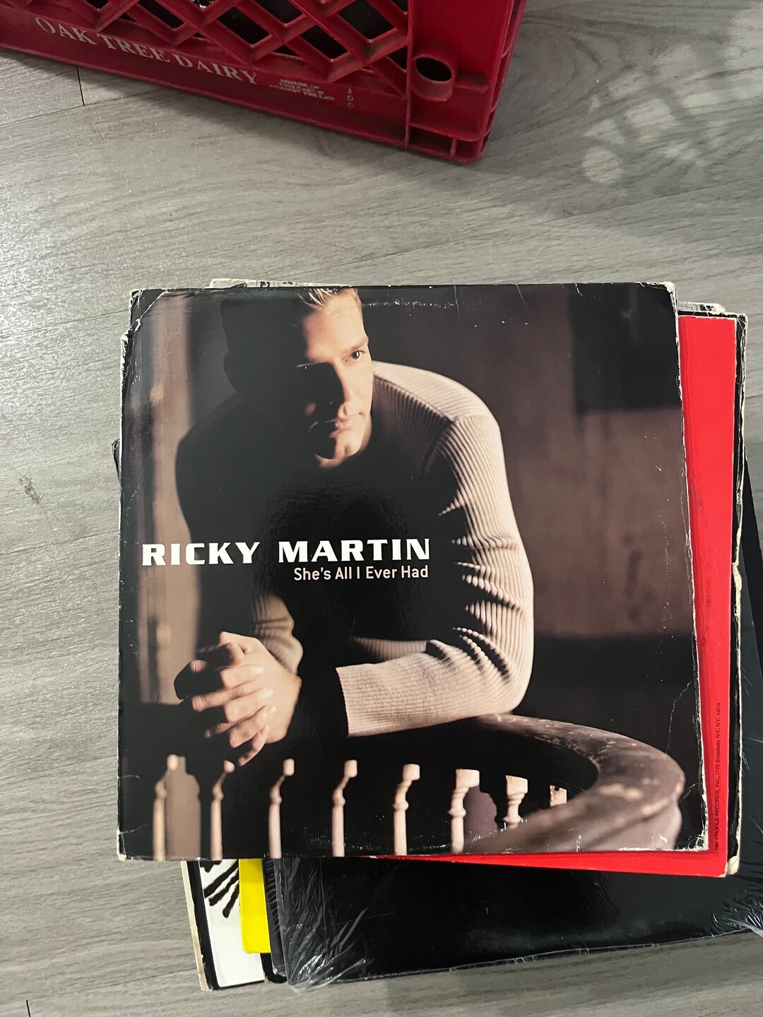 Ricky Martín She’s All I Ever Had - Etsy