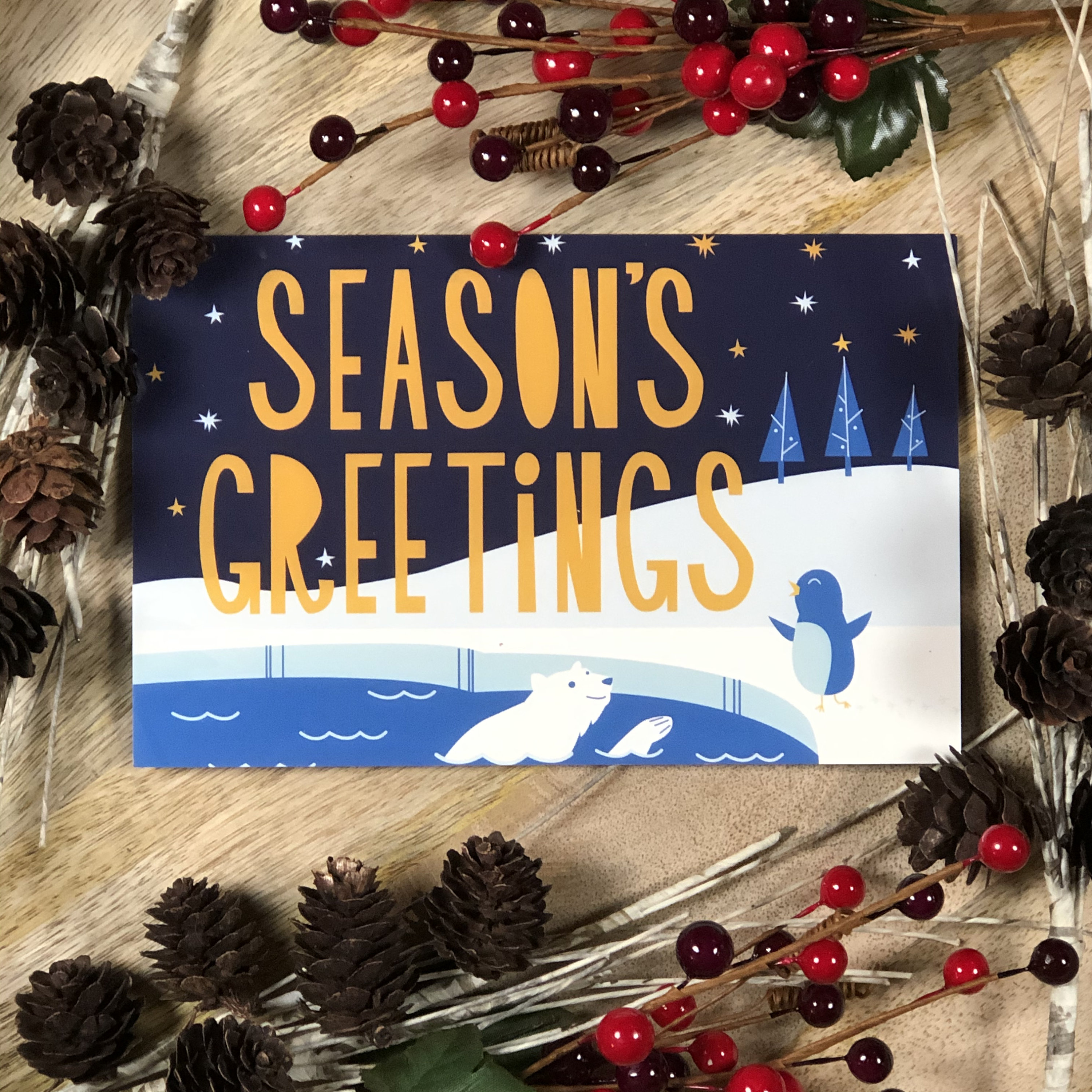 Seasons Greetings Greeting Card 3 Pack Etsy New Zealand