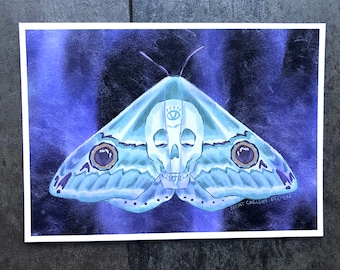 Memento Mori moth illustration 7x5