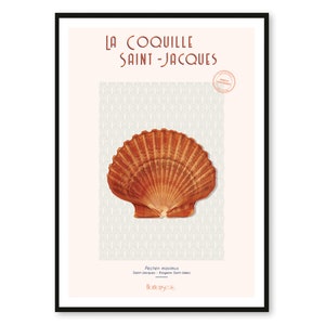 Cartel La Coquille Saint-Jacques - Bretaña - A2 // Ilustración - Decoración - Arte mural - Hortense