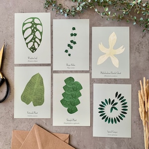 Plants Postcard Set of 6 | Spiral Ginger | Rattlesnake | Laceleaf | Philodendron | Calathea | Monstera | Houseplants | Art cards | Gift | A6