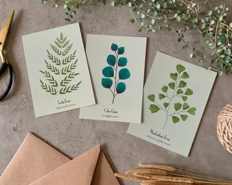 Plants Postcard Set of 3 | Lady Fern | Eucalyptus | Maidenhair | Houseplants | Art cards | Gift | Scandinavian | Notecard | Botanical | A6