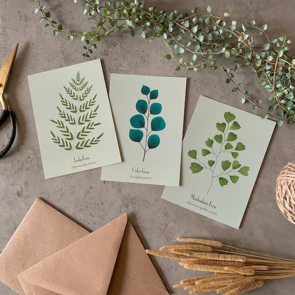 Plants Postcard Set of 3 | Lady Fern | Eucalyptus | Maidenhair | Houseplants | Art cards | Gift | Scandinavian | Notecard | Botanical | A6