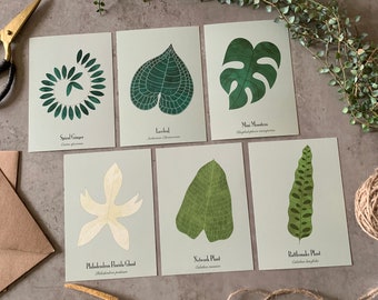 Set di 6 cartoline di piante / Zenzero a spirale / Serpente a sonagli / Laceleaf / Filodendro / Calathea / Monstera / Piante d'appartamento / Carte d'arte / Regalo / A6