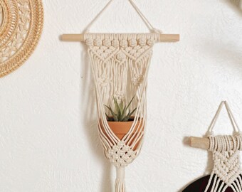 May include: A macrame plant hanger with a wooden dowel and a small potted plant. The hanger is made of natural cotton cord and has a tassel at the bottom.