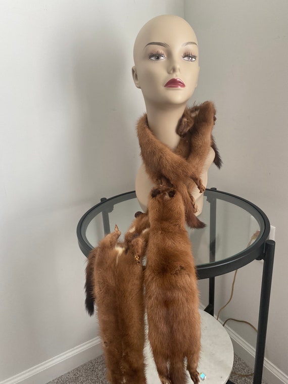 Vintage Mink Stole 4 Full Pellets Woman’s Body Fu… - image 8