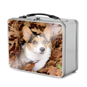May include: A silver metal lunchbox with a black handle. The lunchbox features a colourful image of a corgi dog lying in a pile of autumn leaves.
