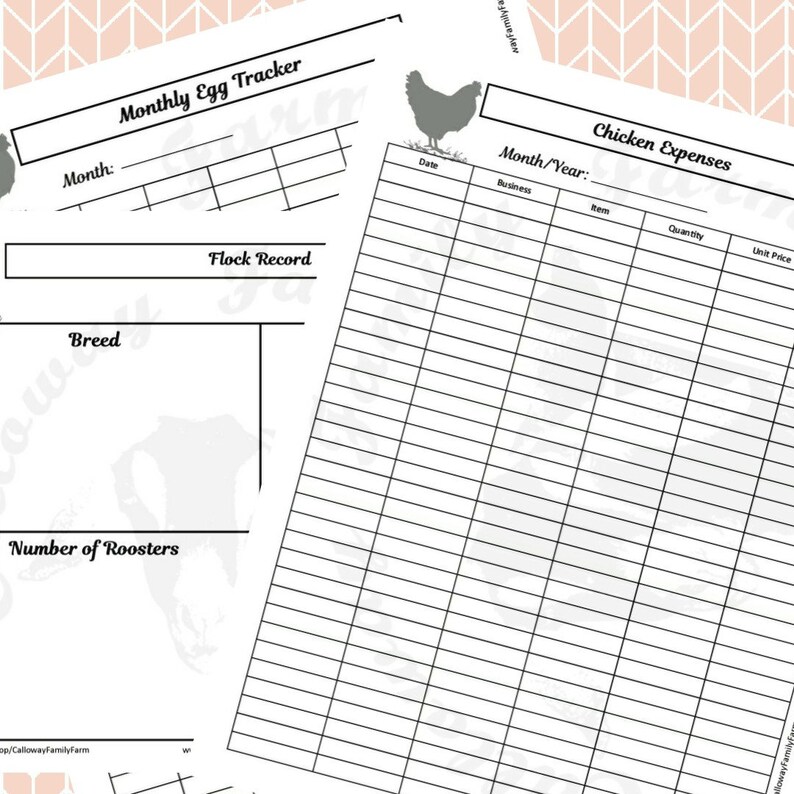 Livestock Records Chicken Record Keeping Homestead Binder Etsy