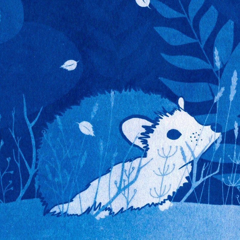 The fearful hedgehog Cyanotype image 4