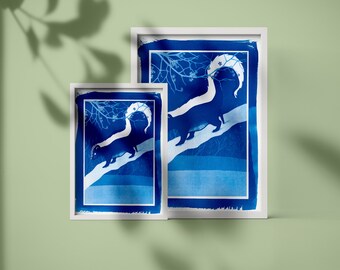 The Shy Skunk (Cyanotype)