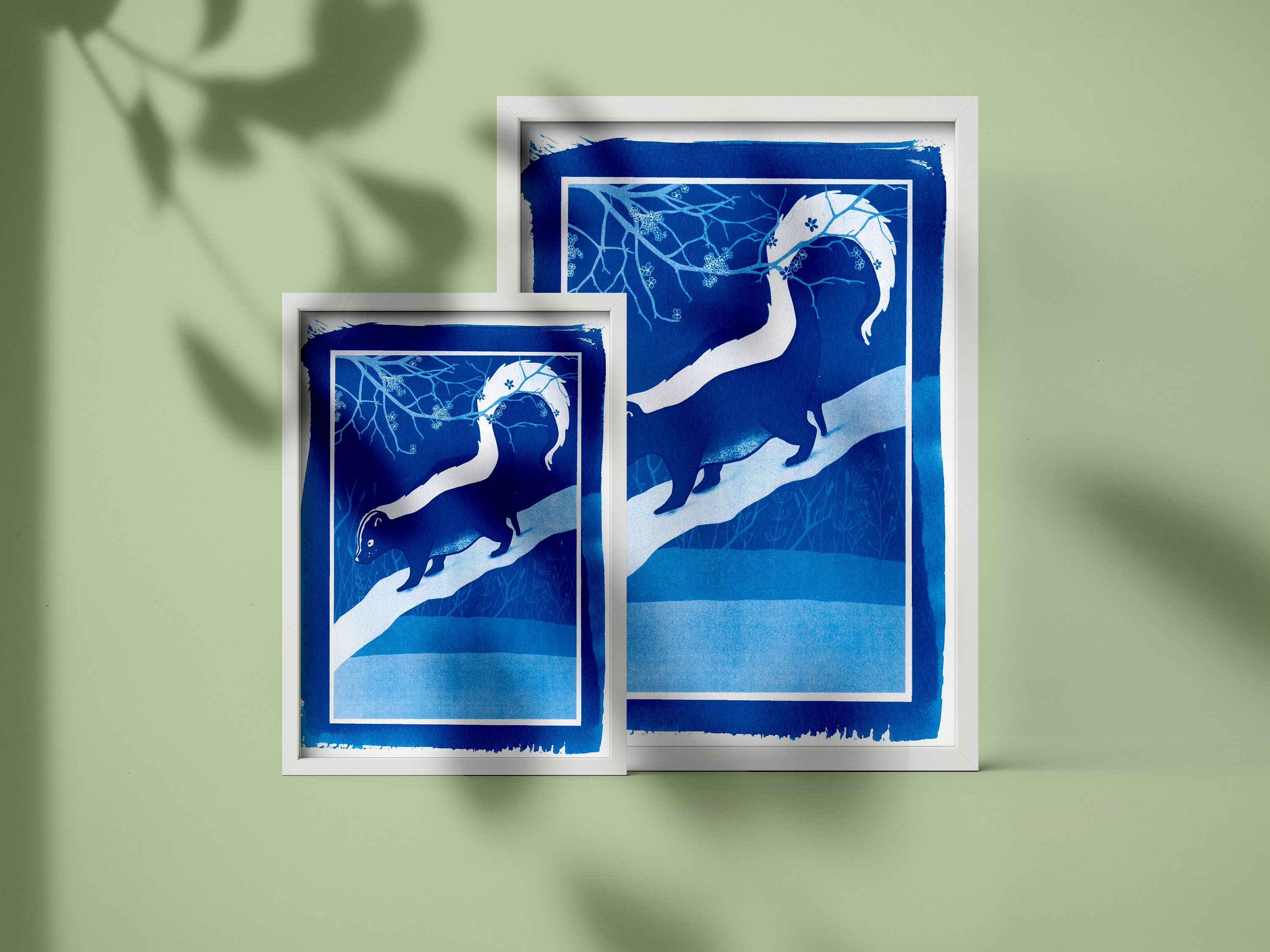 La Moufette Timide | Cyanotype