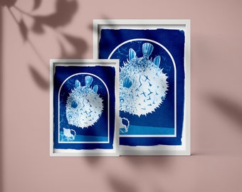 Pumped up like a fugu (Cyanotype)