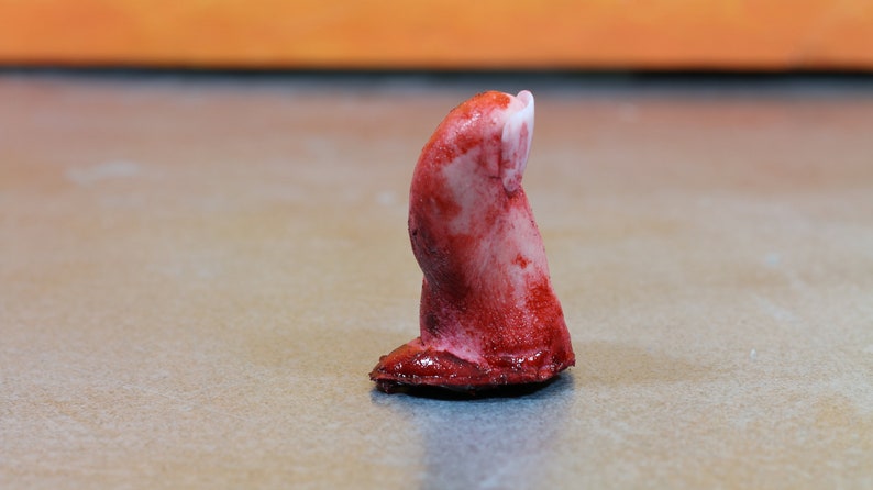 Big toe severed and bloody. Perfect Halloween decoration, creepy gift, prank or horror prop image 5