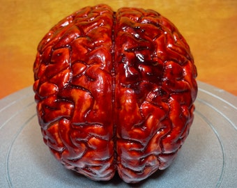 Bloody human brain Halloween prop, realistic & life size. Perfect as gory halloween prop, horror film or haunted house set decoration