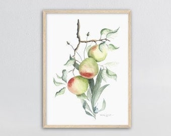 Apfel Druck Kunst | Botanischer Druck | Vintage Obst Kunst | Küche Druck | Gartenliebhaber | Bauernhaus Dekor | Apfel Aquarell Illustration