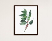 Coffee Plant Print for Coffee Lover, Housewarming Gift, Coffee Arabica, Coffee Wall Art, Botanical Print, Office Art Print, Coffee Decor