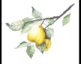 Bing cherry fruit handpainted watercolor greeting card home decor art kitchen art decor