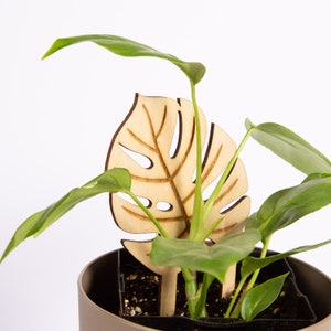 Atena - Monstera Leaf Trellis - Plants accessorys - wood Trellis