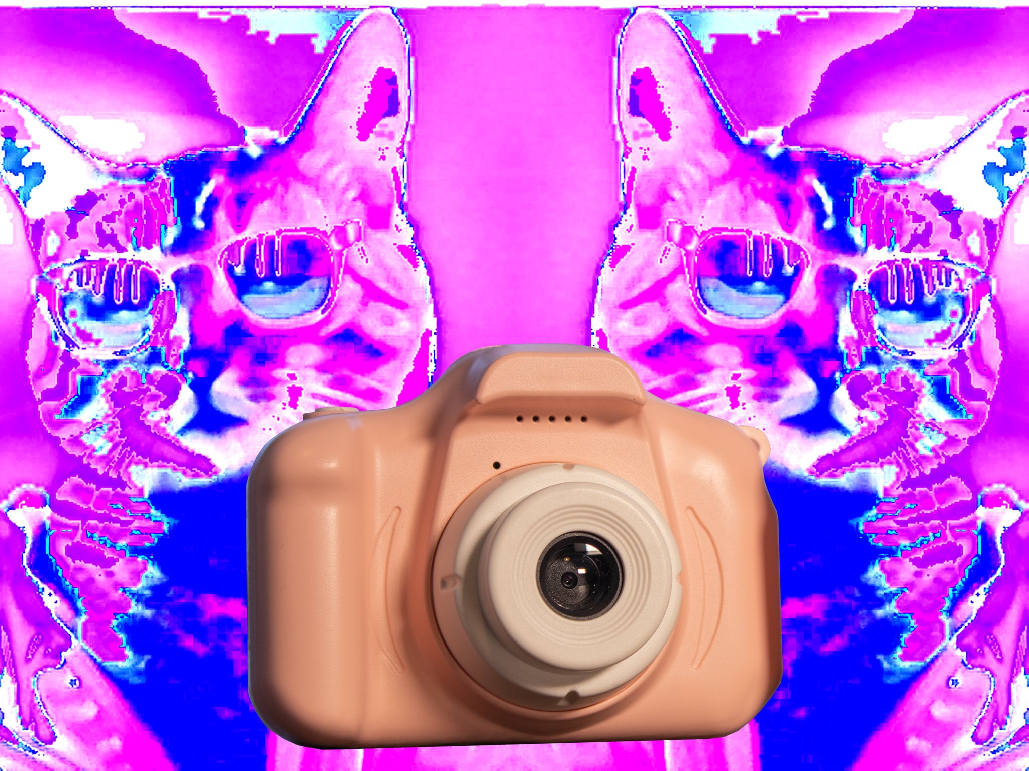 Circuit Bent Glitch Camera -//- Video and Still Photography Camera