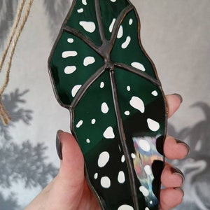Puede incluir: Un adorno de ventana de vitral con forma de hoja verde y blanca con contorno negro.