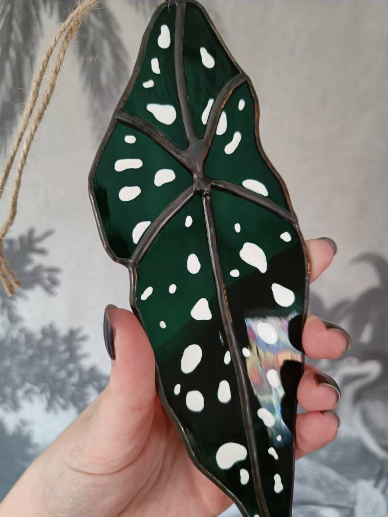 Puede incluir: Un adorno de ventana de vitral con forma de hoja verde y blanca con contorno negro.