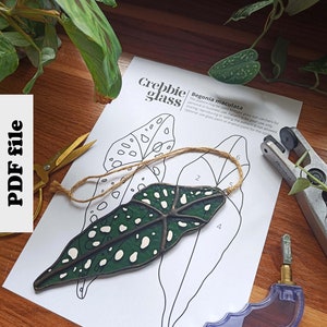 Puede incluir: Un patr&oacute;n imprimible para un atrapasol de vidrio con una hoja de Begonia maculata. El patr&oacute;n incluye secciones numeradas para cortar y ensamblar las piezas de vidrio. El texto "Crebbie glass" y "Begonia maculata" es visible en la p&aacute;gina.