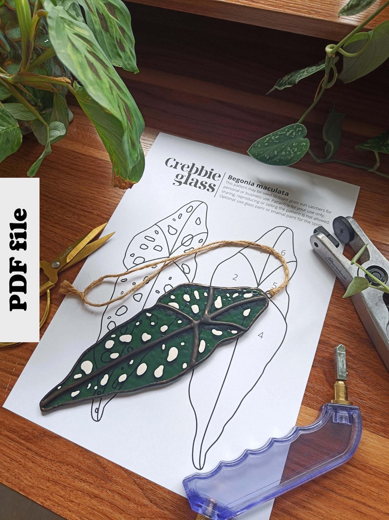 Puede incluir: Un patr&oacute;n imprimible para un atrapasol de vidrio con una hoja de Begonia maculata. El patr&oacute;n incluye secciones numeradas para cortar y ensamblar las piezas de vidrio. El texto "Crebbie glass" y "Begonia maculata" es visible en la p&aacute;gina.