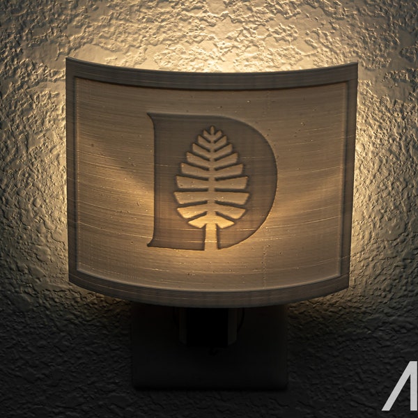 Dartmouth College 3-D printed Nightlight l Plug in Nightlight