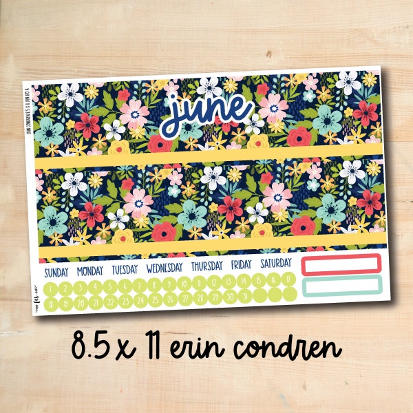 EC 8.5x11 JUNE170 || HAPPY SUMMER June 8.5x11 Erin Condren monthly kit