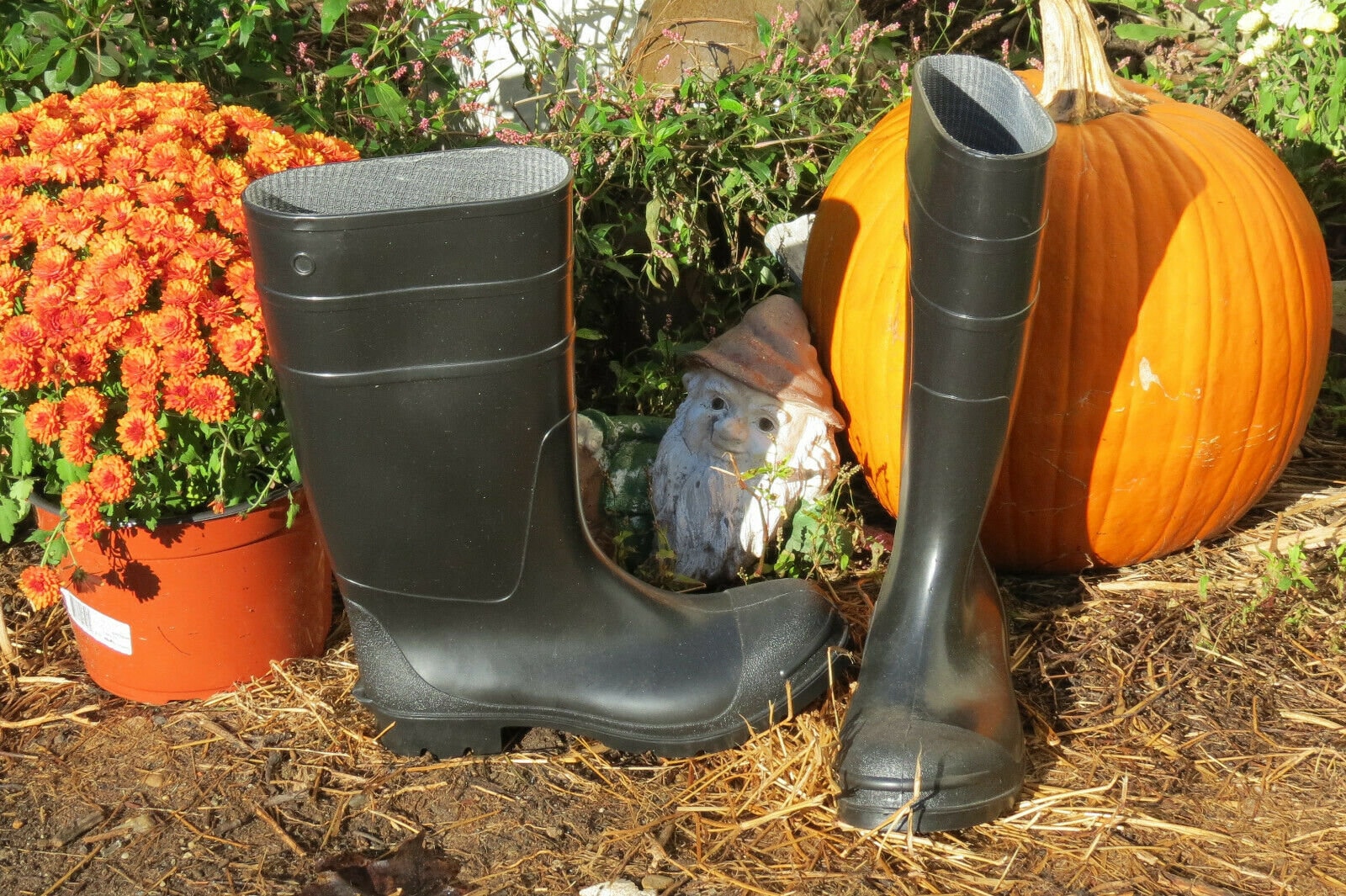 animal print muck boots