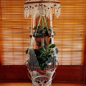 Può includere: Un portavasi in macramè bianco a tre livelli. Il portavasi è appeso al soffitto e ha un anello di legno nella parte superiore. Ci sono tre piante nel portavasi, di cui due sono verdi e una è una pianta ragno.