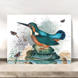 Cartes de correspondance vierges Martin-pêcheur avec enveloppes, cadeaux pour les amoureux des oiseaux, papeterie pour oiseaux sauvages, cadeau pour les ornithologues amateurs, carte vintage d'art oiseau