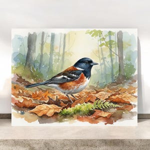 May include: Watercolor painting of a bird with a black head, white and orange chest, and gray wings. The bird is perched on fallen leaves with a forest background. The artwork is a nature-themed illustration.