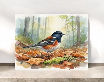 Tarjetas de Towhee del Este / Juego de papelería inspirado en la naturaleza / Tarjetas de observación de aves / Tarjetas para observadores de aves / Tarjetas de primavera n.° 124
