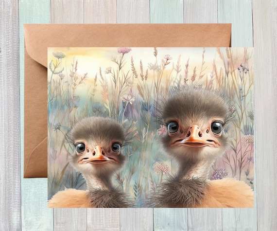 Baby Ostrich Notecards: All Occasion Bird Stationery with Envelopes, Funny Ostrich Notecards