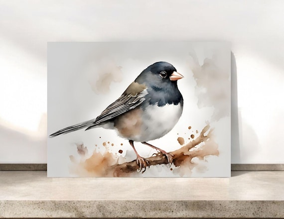 Dark Eyed Junco Notecards: Watercolor Bird Greeting Cards